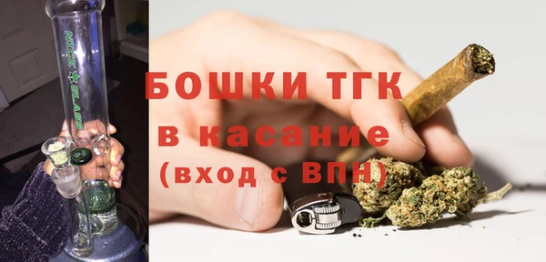 МДПВ Богородск