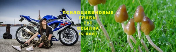 героин Богородицк