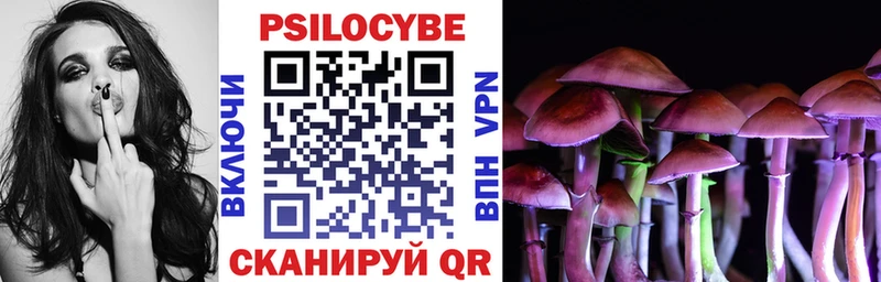цена   Оренбург  Псилоцибиновые грибы мухоморы 